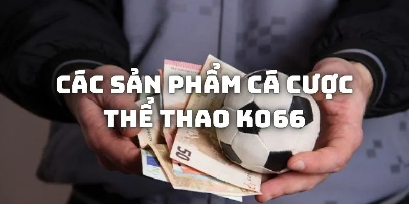 Các loại kèo cược tại sảnh thể thao